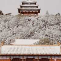 The first snow of 2021 has arrived in Beijing