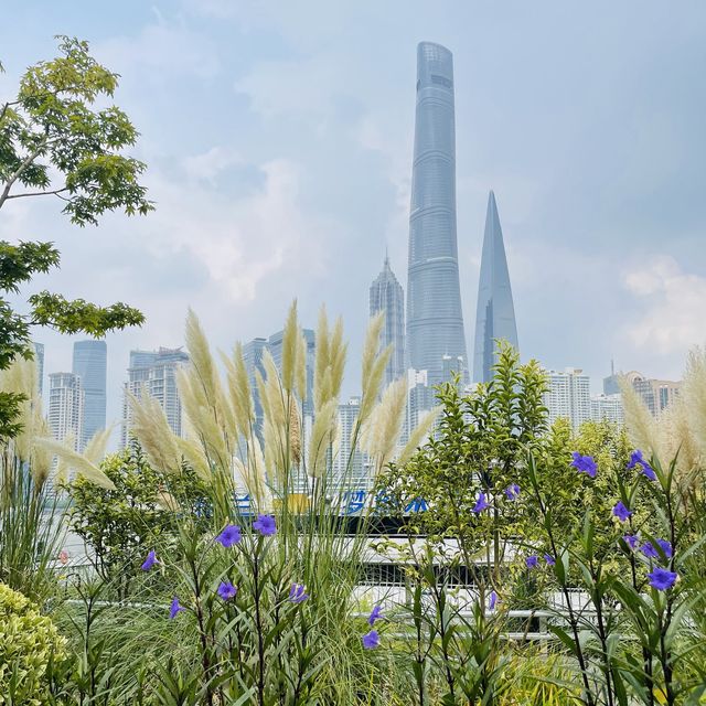 Greenery along the Huangpu River🌺🌳🌻