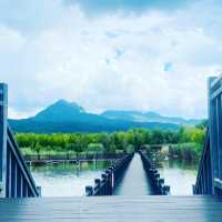 Horse Riding, Tea experience and Wetlands 