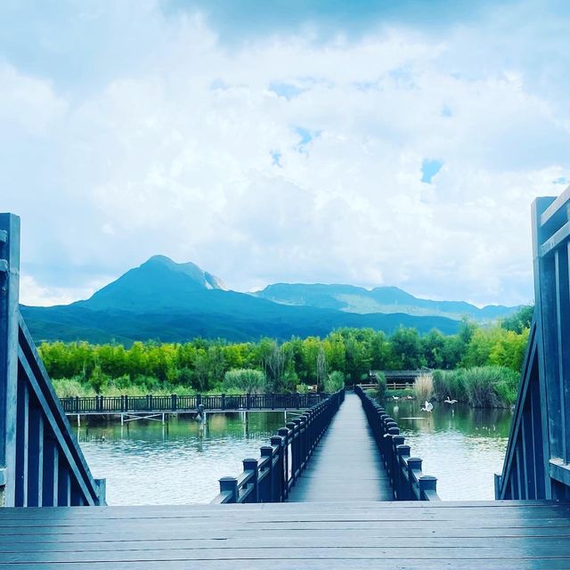 Horse Riding, Tea experience and Wetlands 