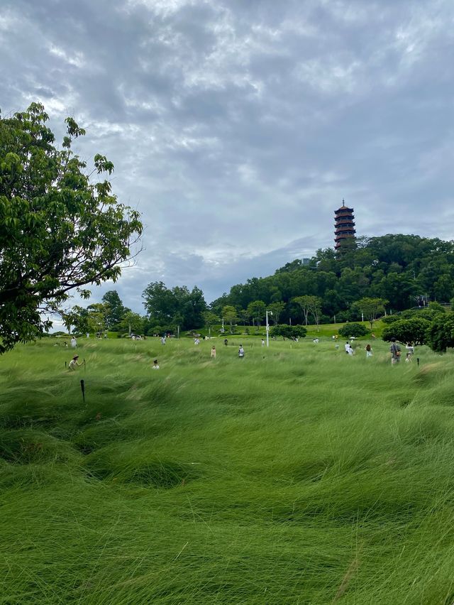 Peaceful park 🍃