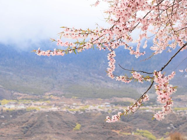 雅魯藏布江索松村