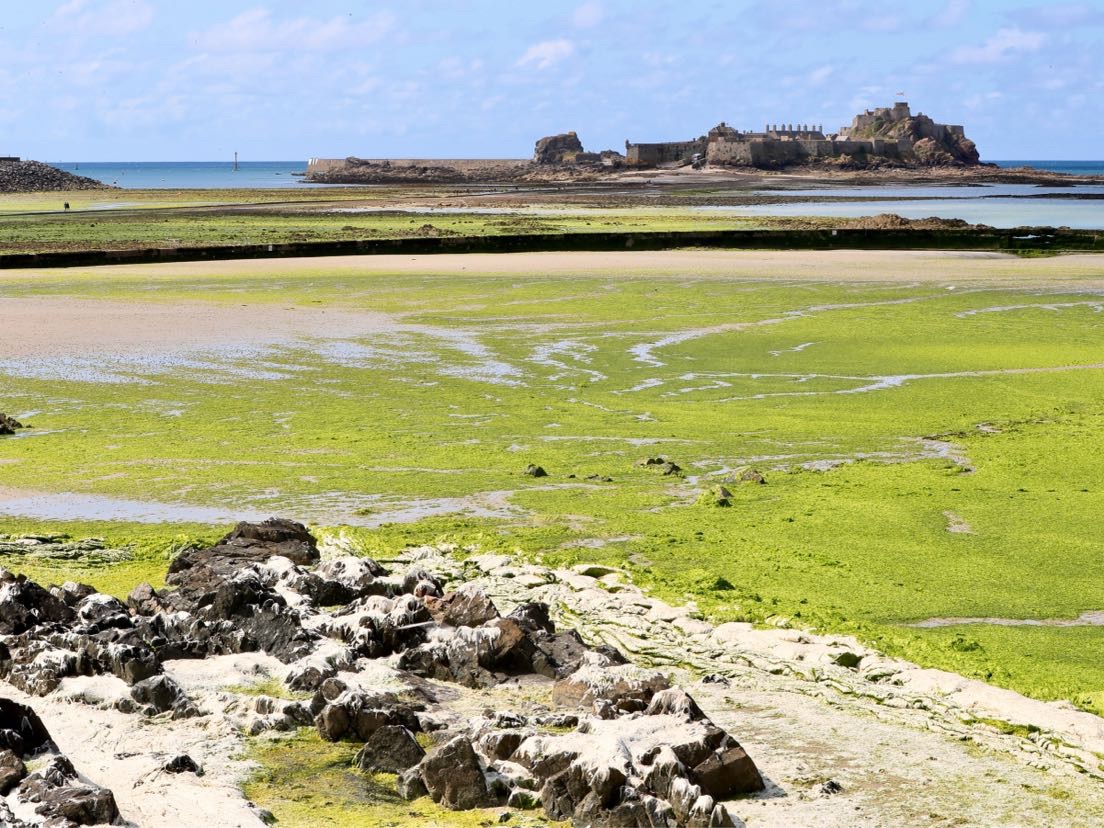 Lâu đài Elizabeth, Jersey