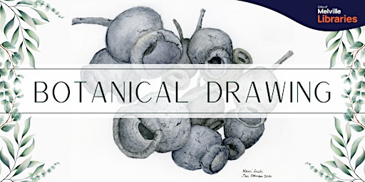 Botanical Drawings | Civic Square Library