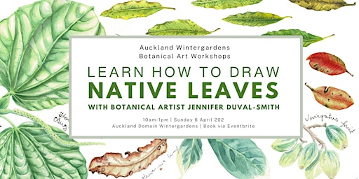 Native Leaves - Botanical Art Workshop | Domain Wintergardens