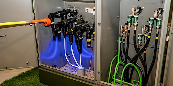 Transformer Startup and Maintenance - Houston | Eaton Training Center - Houston