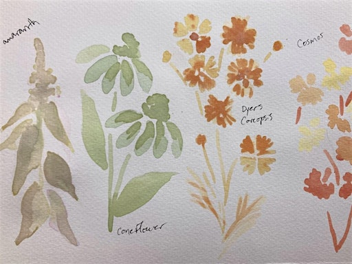 Painting With Plants: Making and Painting with Watercolors from the Garden | Garden Dreams