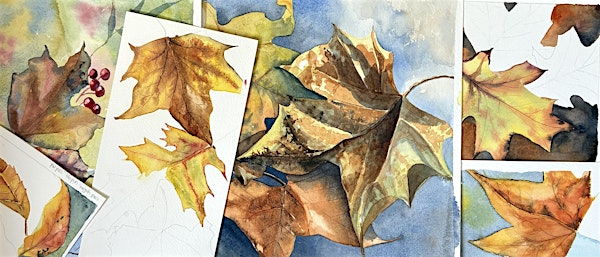 Autumn's Palette: Leaves | Naze Nature Discovery Centre