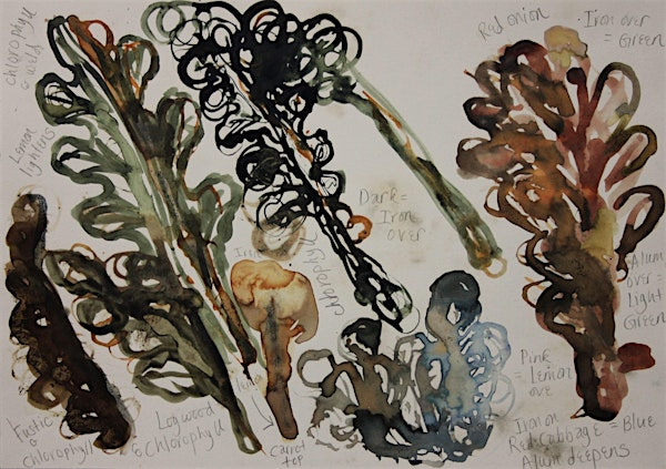 Natural Ink Making Workshop | Severn Gorge Countryside Trust