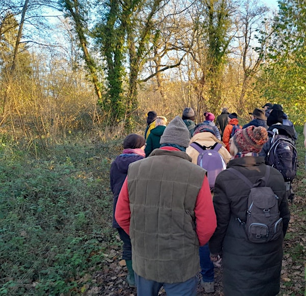 Warden Walk at Lackford Lakes (ELC 2816) | Lackford Lakes Nature Reserve