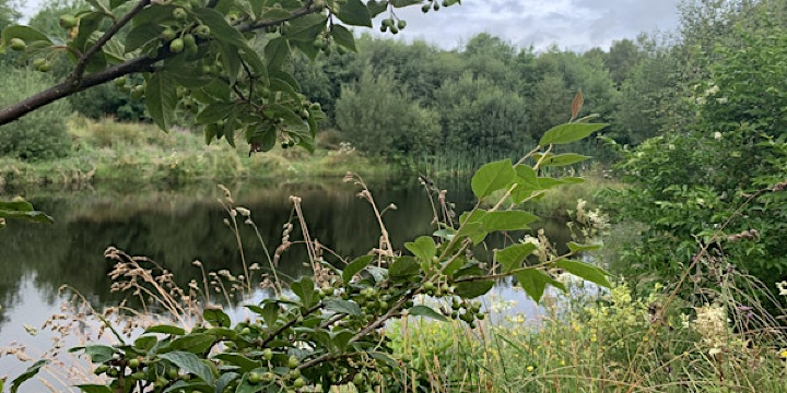 Garden tour of Sir Bob & Lady Salisbury's 'Field of Dreams'- members only | 46 Drumconnelly Rd