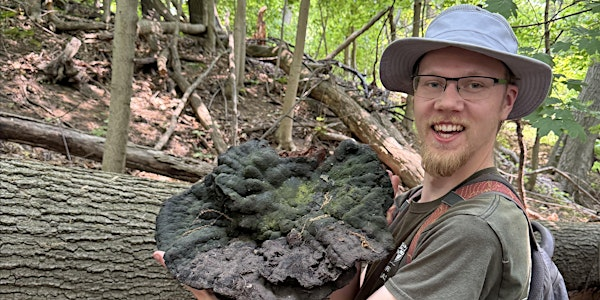 Nature at McMaster Community Bioblitz | McMaster Forest