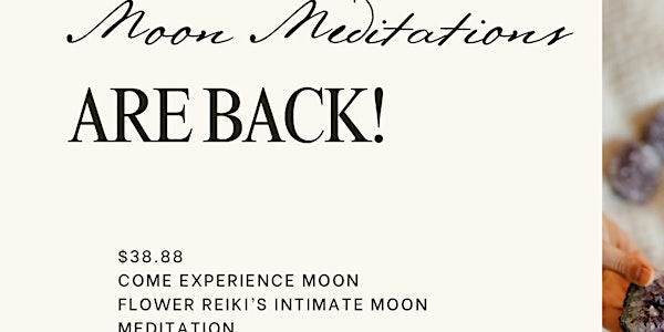 Moon Meditations | 486 Front St W