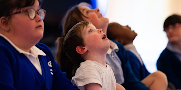 School & Group Immersive Dome Experiences | Market Hall