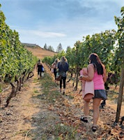 Yoga, Hike & Sound Healing at The View Winery! | The View Winery & Vineyard