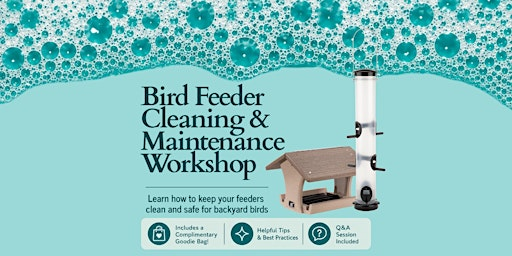 Bird Feeder Cleaning & Maintenance Workshop | Wild Birds Unlimited