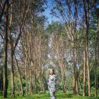Copter Chill Resort by Lyn Cafe นครศรีธรรมราช