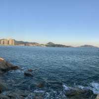 仍然秋季，看看芒草