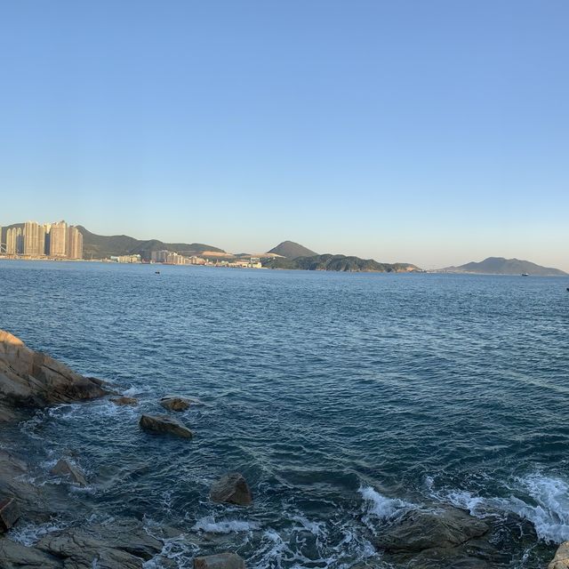 仍然秋季，看看芒草