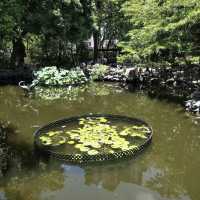 荔枝角公園