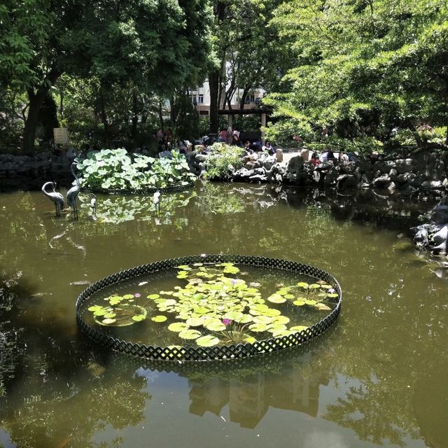 荔枝角公園