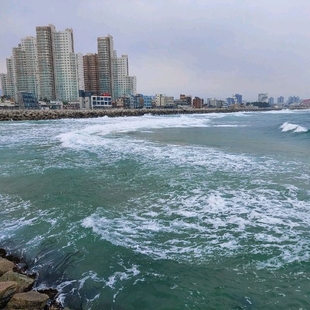 속초 겨울바다의 낮과 밤