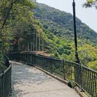 香港行山好去處