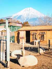 まかいの牧場