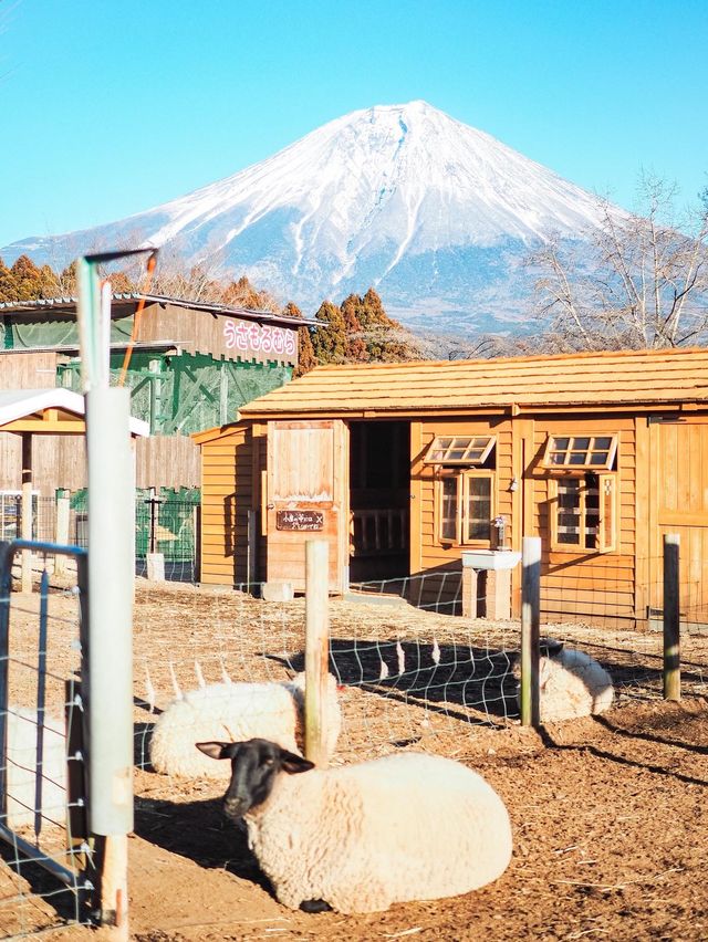 まかいの牧場