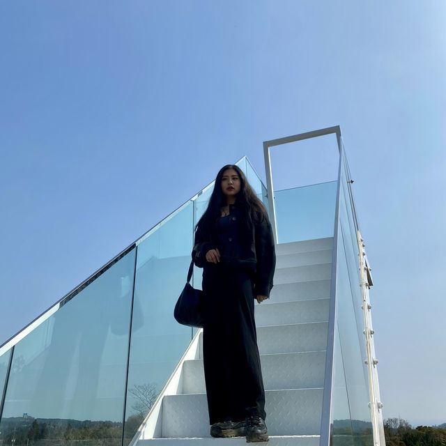 가벼운 산행으로 제주도를 한눈에! 새별오름⛰