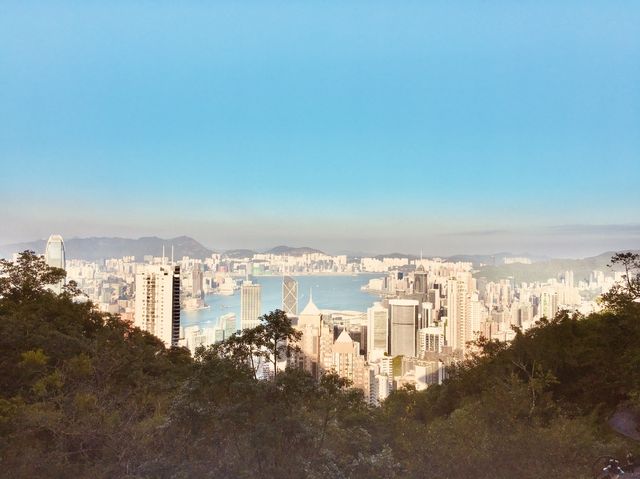 柯士甸山漫步