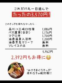 お得なきっぷ♪みさきまぐろきっぷでお出かけ🐟