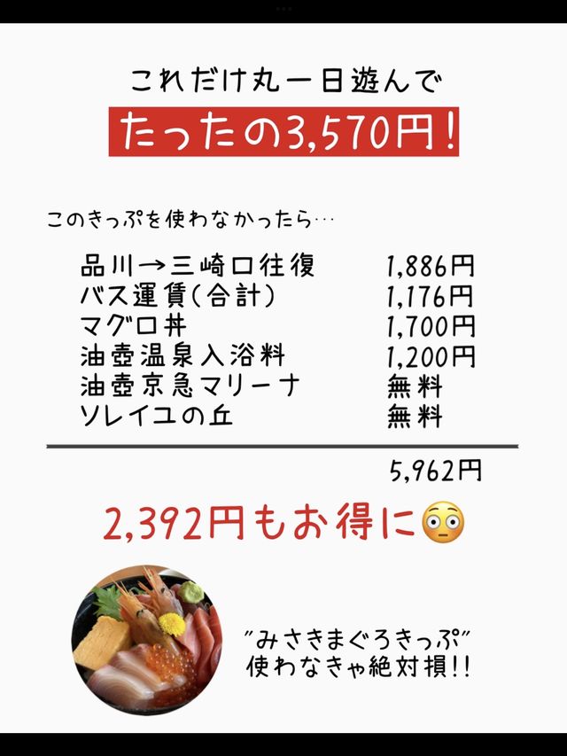 お得なきっぷ♪みさきまぐろきっぷでお出かけ🐟