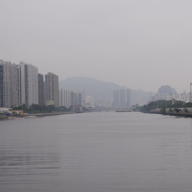 挑戰60公里屯馬單車線 