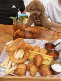 觀塘：Pet friendly 打咭cafe 