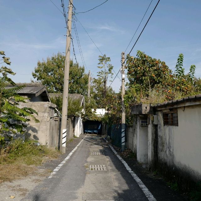 대전 소제동 봄여행