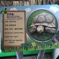 免費增進爬蟲類動物小知識