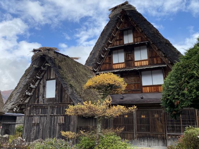 親身參觀白掌村—神田家