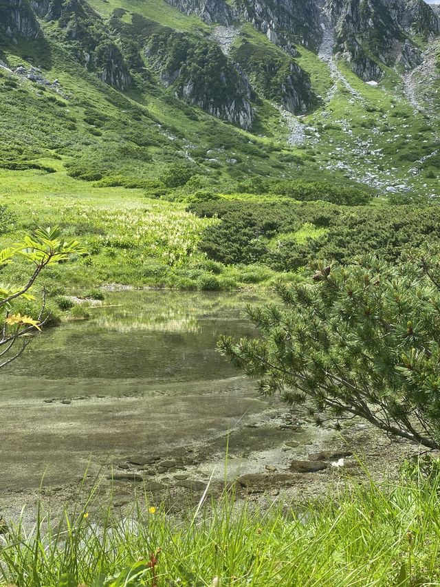 駒ヶ岳【千畳敷カール】週末山散策