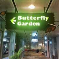 Watch The Butterflies Fly Before Taking Your Flight 
