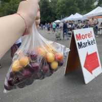 シアトル☆朝のファーマーズマーケットに行ってみました！