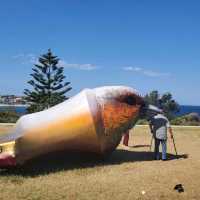 [호주여행] 본다이비치 조각전, Sculpture by the sea