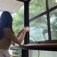 韓国/ソウル【聖水洞】ソウルの森の緑を堪能できる💚カフェ