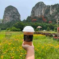 ♨️Mee Khao Mee Rao Café&Dessert♨️ 
