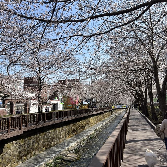 경남 벚꽃 명소, 진해 여좌천 로망스다리