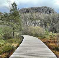 hiking to preikestolen