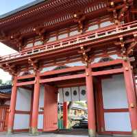 【京都】玉の輿と言えばこちら