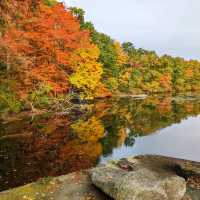 Fall in love with Fall
