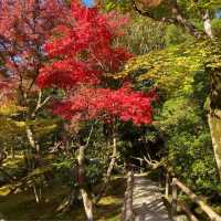 銀閣寺🍁