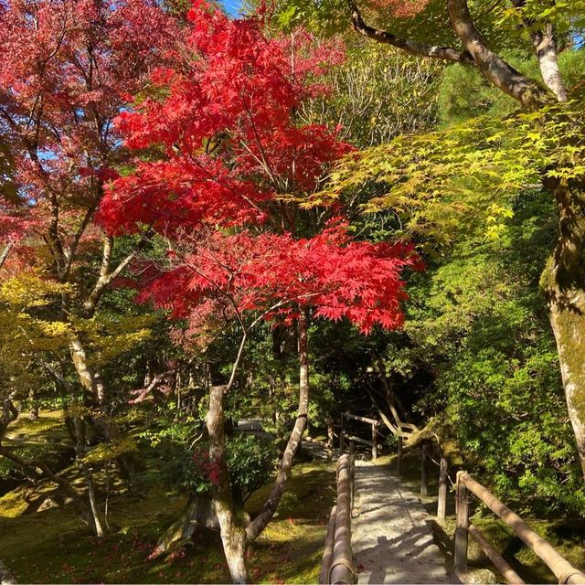 銀閣寺🍁